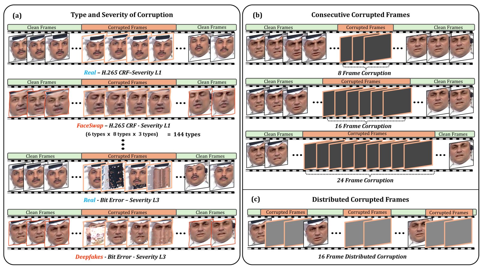 Overview of DF-TCB: corruption types and severities, consecutive and distributed corrupted frames